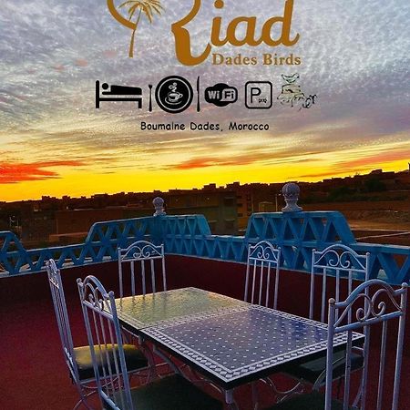 Riad Dades Birds Boumalne Zewnętrze zdjęcie