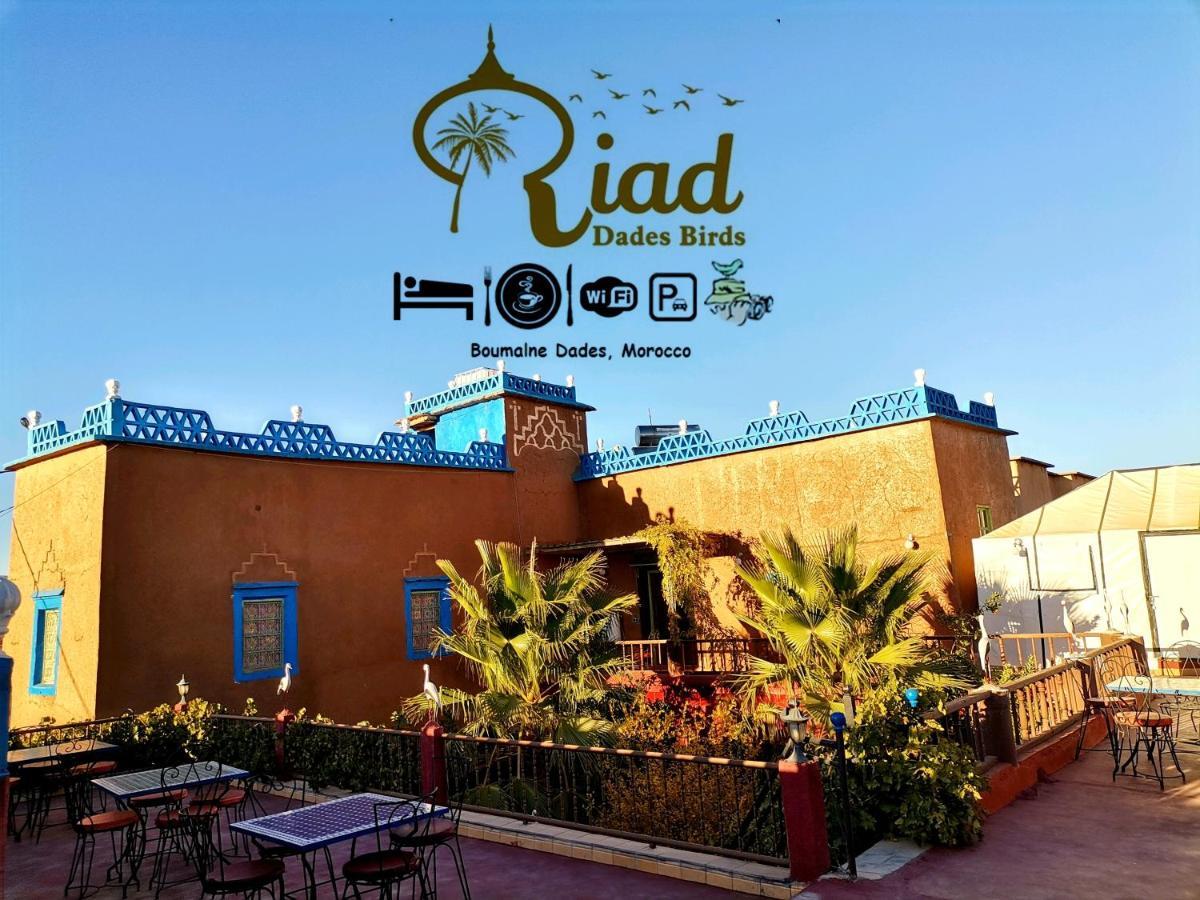 Riad Dades Birds Boumalne Zewnętrze zdjęcie