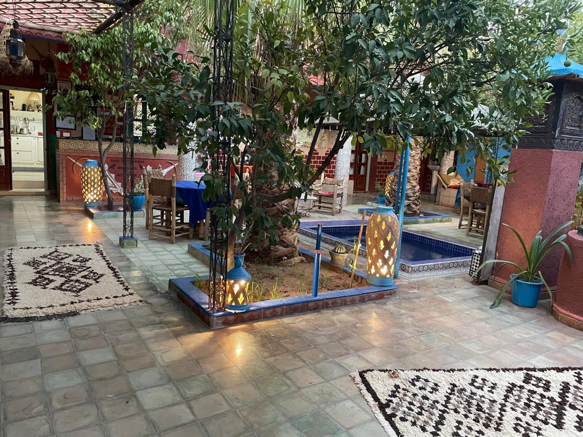 Riad Dades Birds Boumalne Zewnętrze zdjęcie