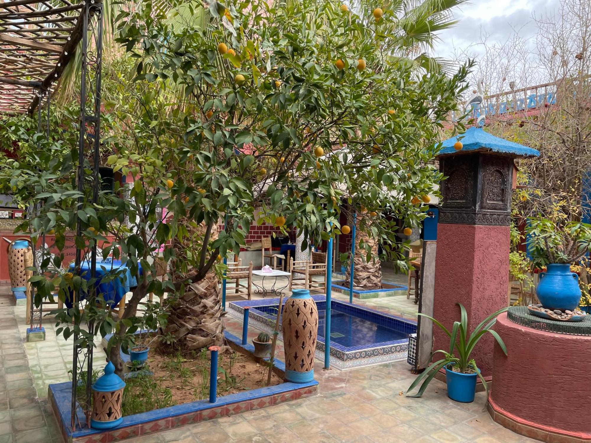 Riad Dades Birds Boumalne Zewnętrze zdjęcie